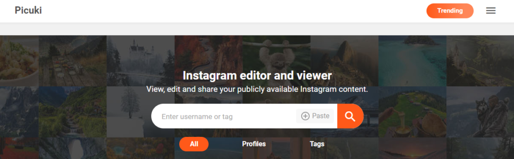Picuki Instagram editor and viewer